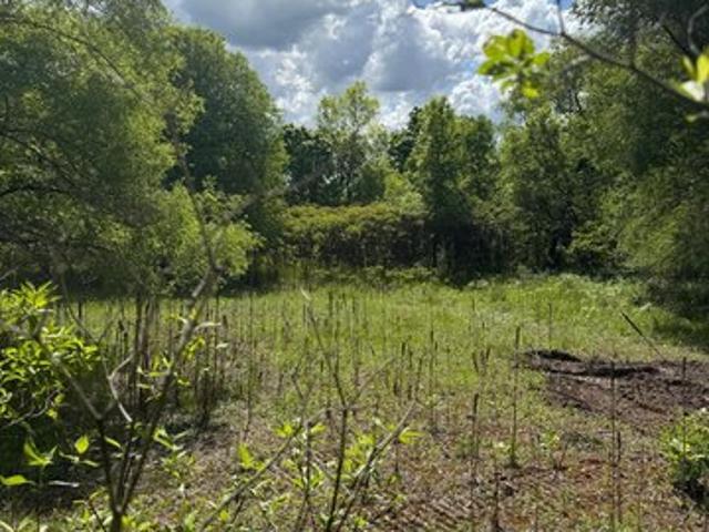 Land for sale in Wright, Minnesota