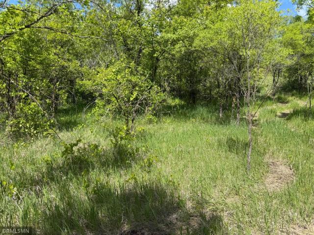 Land for sale in Wright, Minnesota