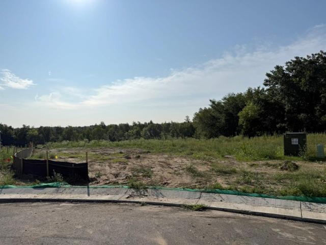 Land for sale in Wright, Minnesota