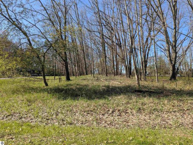 Land for sale in Isabella, Michigan