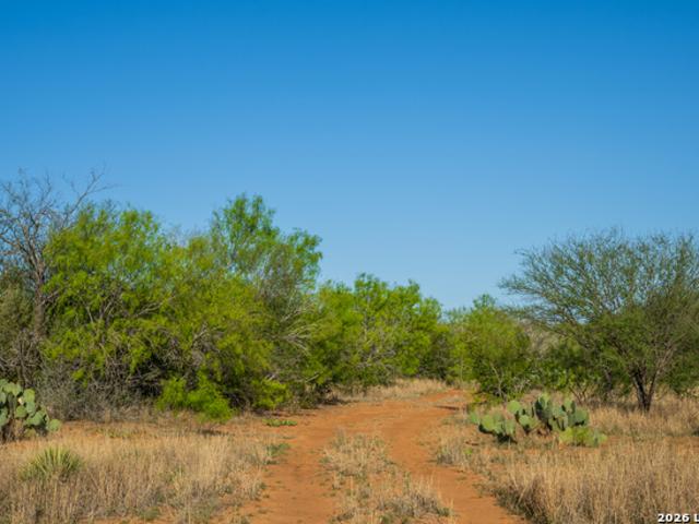 Farm for sale in Medina, Texas