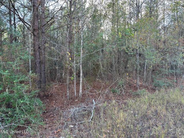 Land for sale in Wesson, Mississippi