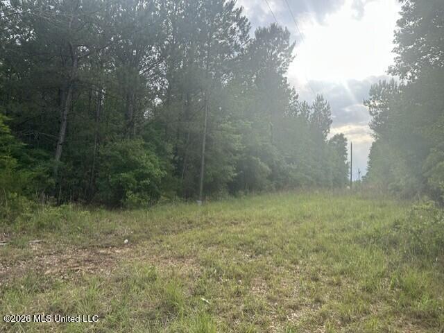 Land for sale in Wesson, Mississippi