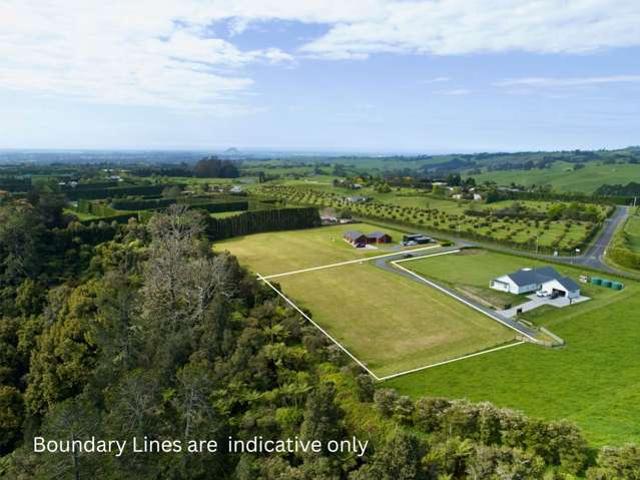 Property for sale in Bay Of Plenty