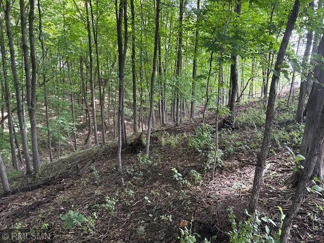 Land for sale in Wright, Minnesota