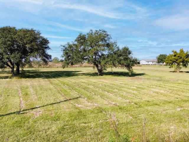 Land for sale in Iota, Louisiana