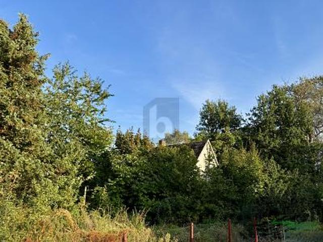 Landwirtschaft kaufen in Gielsdorf, Altlandsberg