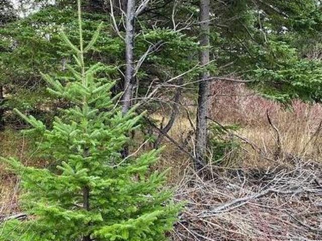 Land for sale in Northern Bay, Newfoundland And Labrador