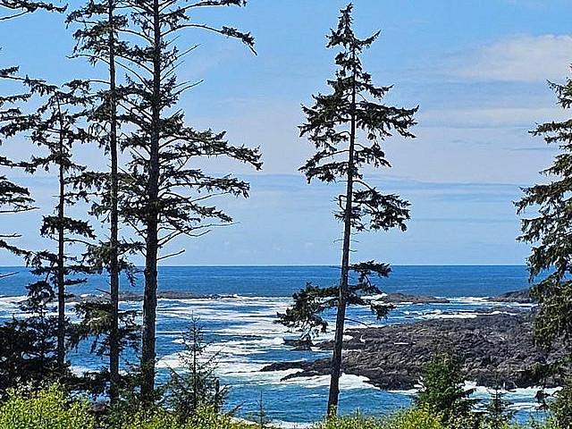 Condo for sale in Clayoquot, British Columbia