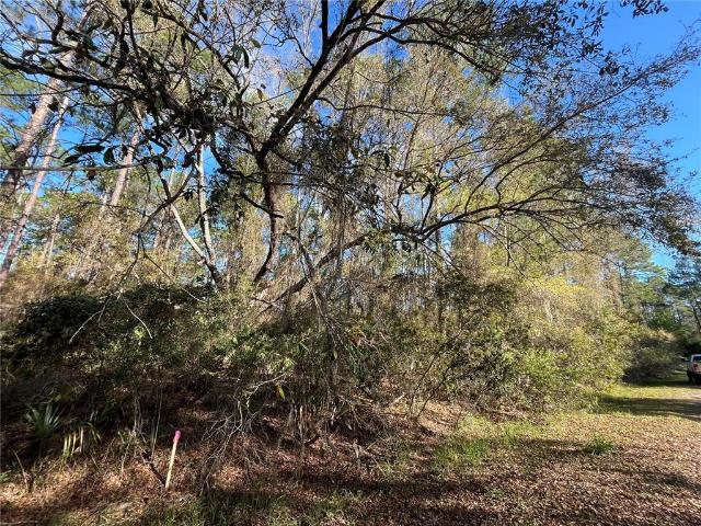 Land for sale in Florida