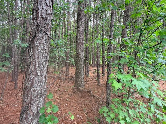 Land for sale in Clayton, North Carolina