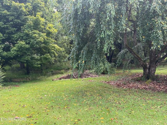 Land for sale in Tennessee