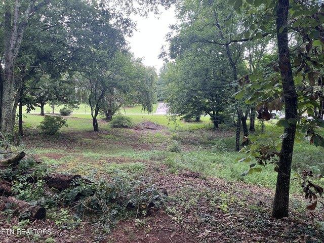 Land for sale in Tennessee