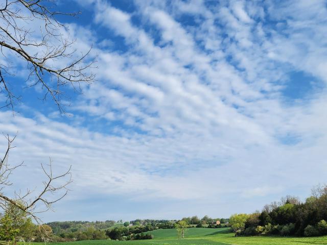Land for sale in Virginia