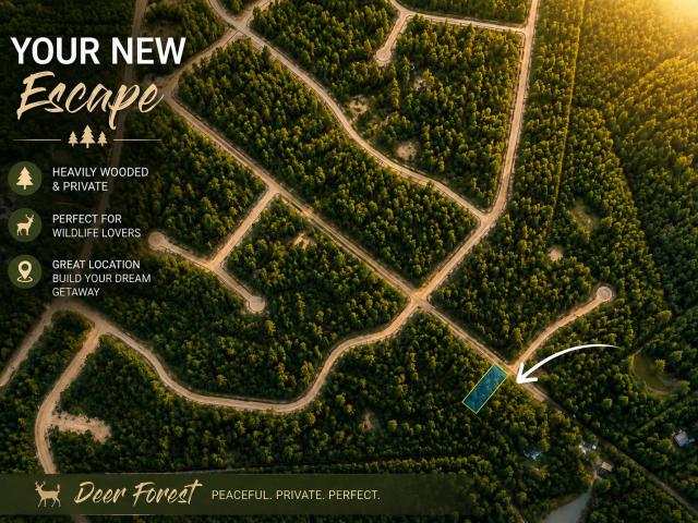 Land for sale in Walker, Texas