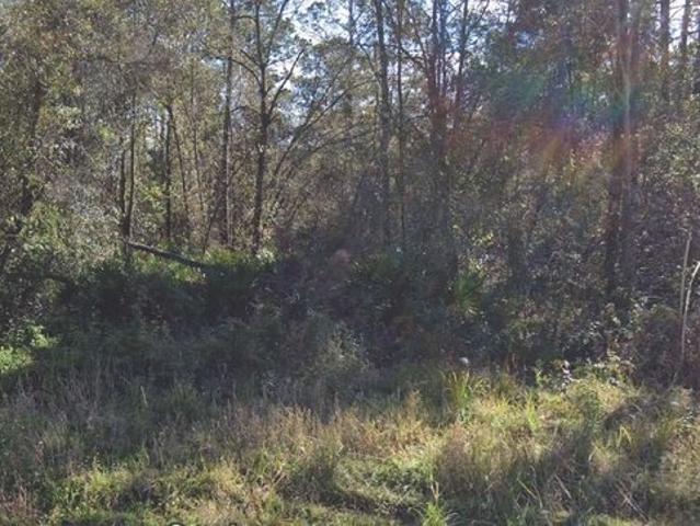 Land for sale in Palatka, Florida