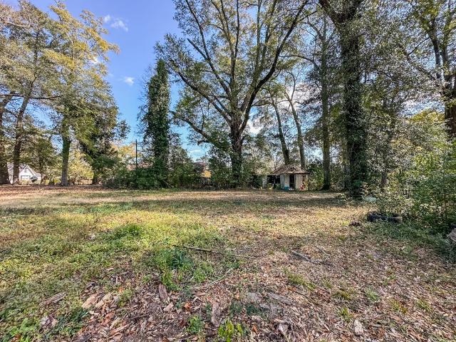 Land for sale in Geneva, Alabama
