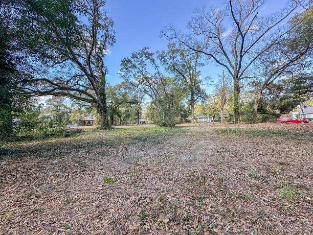 Land for sale in Geneva, Alabama