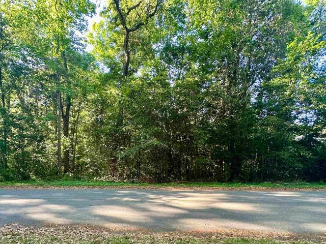 Land for sale in Havana, Florida
