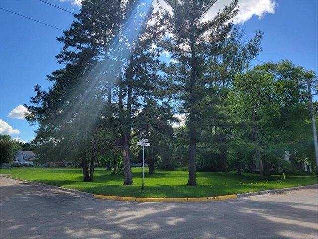 Land for sale in New York Mills, Minnesota