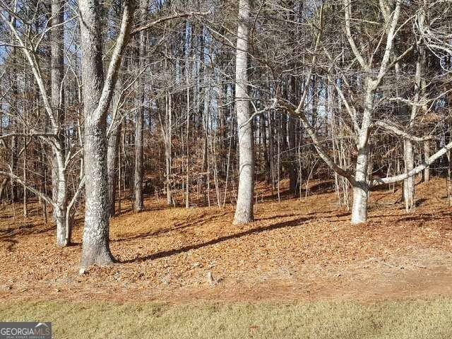 Land for sale in Ball Ground, Georgia