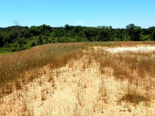 Land for sale in Grenada, Mississippi