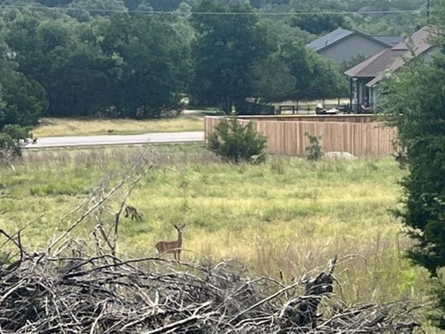 Land for sale in Blanco