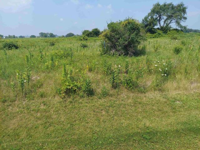 Land for sale in Kirkland, Illinois