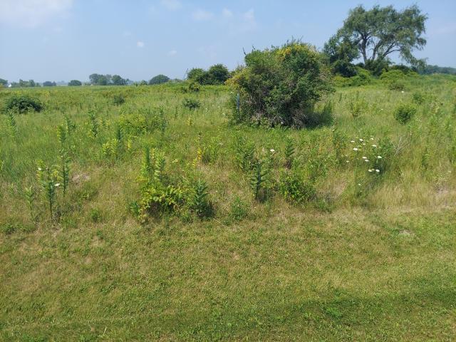 Land for sale in Kirkland, Illinois
