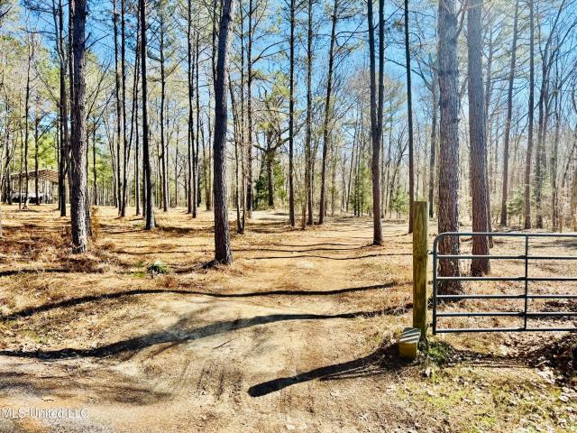 Land for sale in Florence, Rankin County