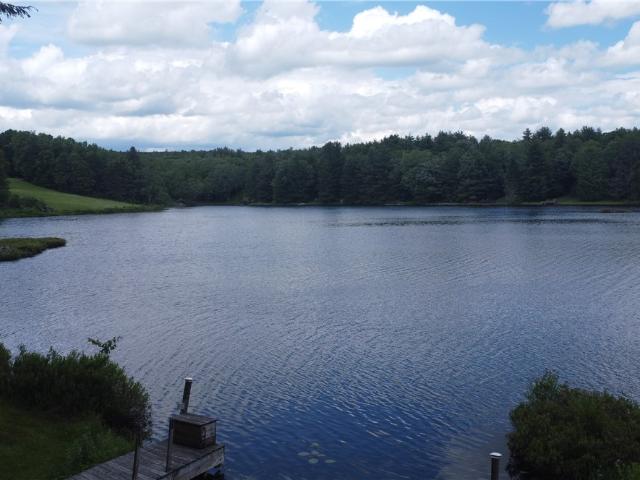 House for sale in Chenango Bridge, New York