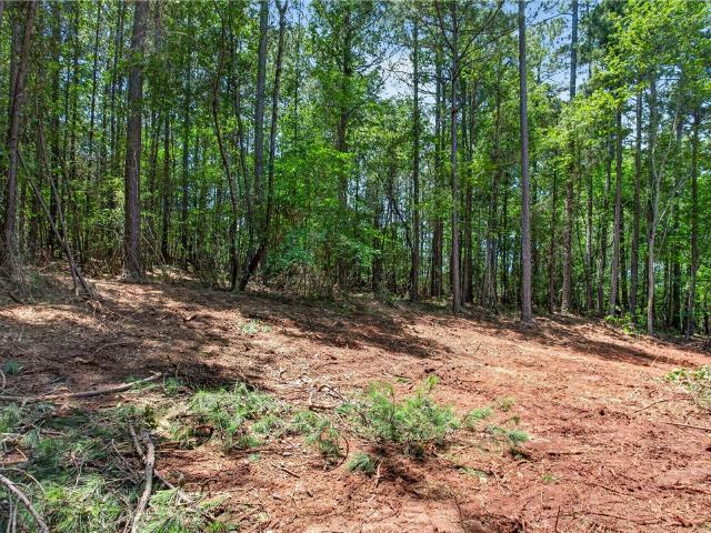 Land for sale in South Carolina