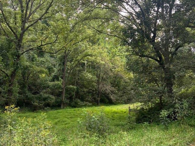 Land for sale in Virginia