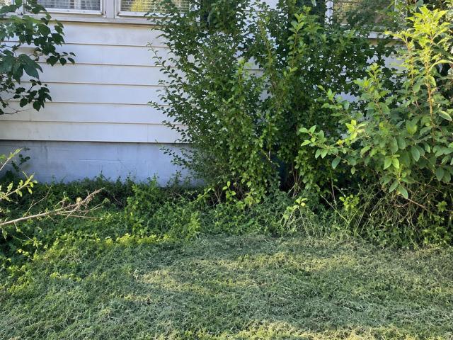 House for sale in Milford, Iroquois County