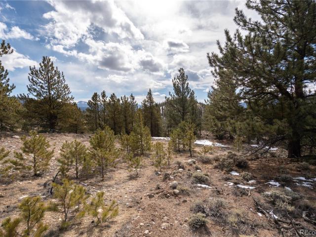 Land for sale in Twin Lakes, Colorado