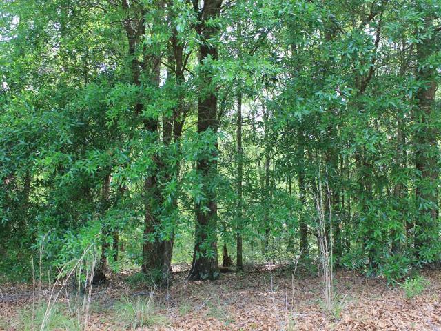 Land for sale in Enterprise, Coffee County