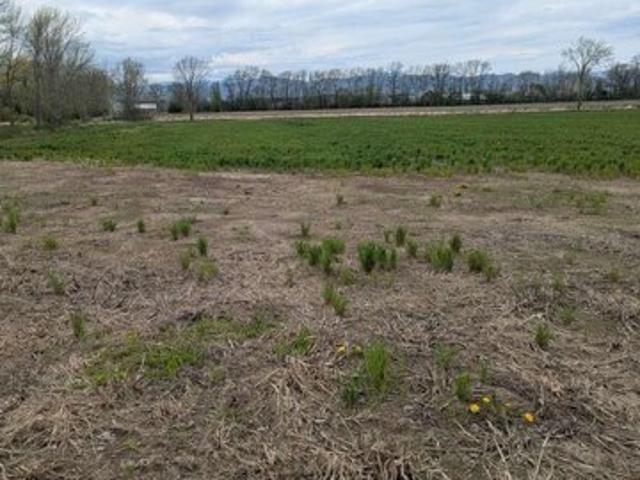 Land for sale in Bridport, Vermont