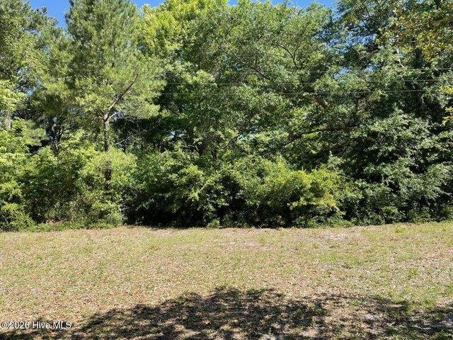 Land for sale in Newport, North Carolina
