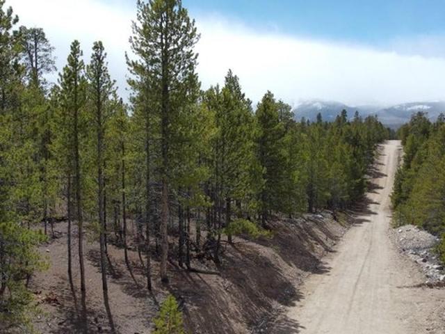 Land for sale in Twin Lakes, Colorado