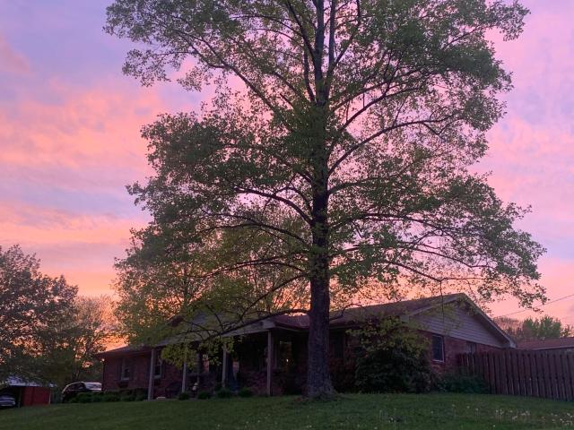 House for sale in Kentucky