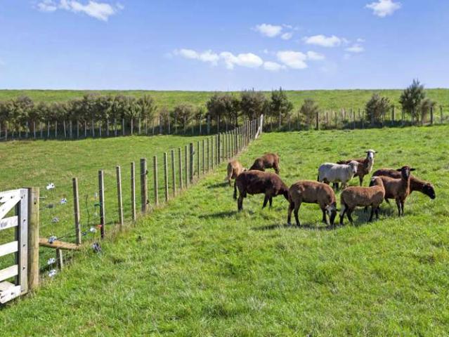 Property for sale in Raglan, Waikato District