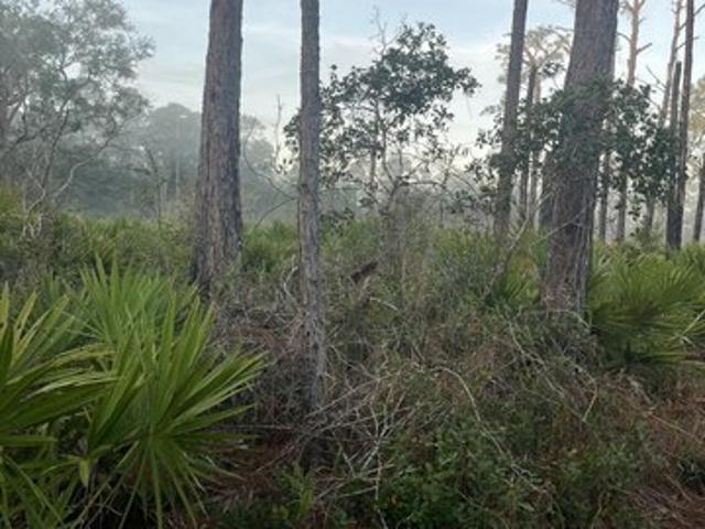Land for sale in Crescent City, Florida