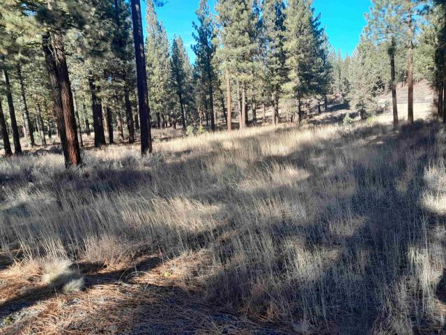 Land for sale in California