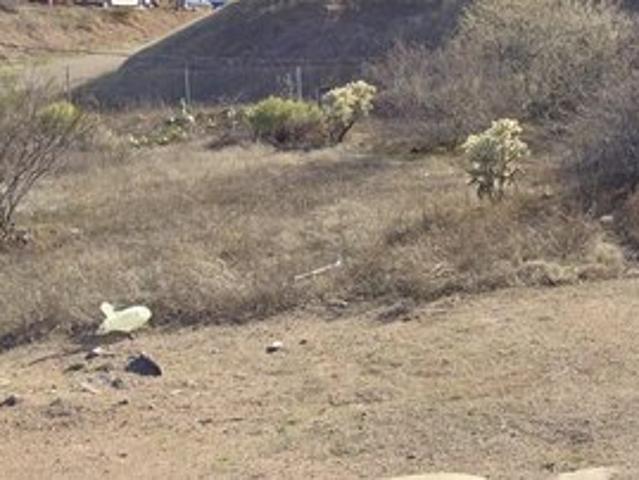 Land for sale in Mammoth, Arizona
