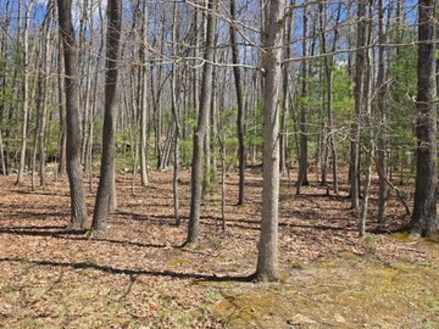 House for sale in Daniels, West Virginia