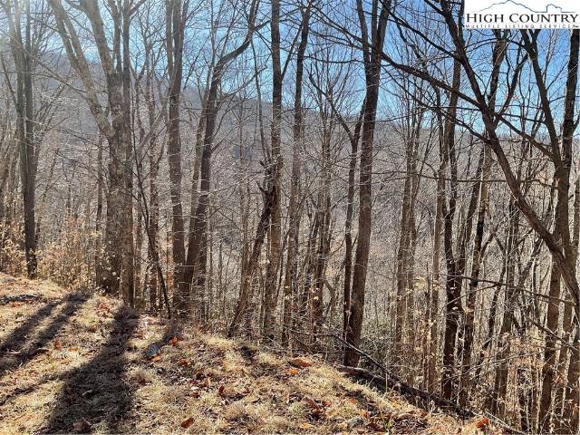 Land for sale in Avery, North Carolina