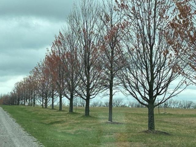 Land for sale in Missouri