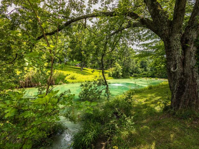 House for sale in Union, Kentucky