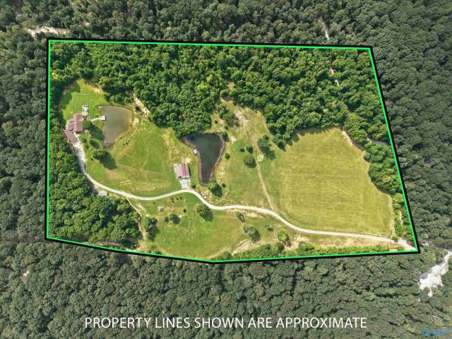 Farm for sale in Alabama