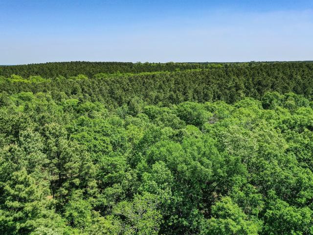 Land for sale in Crockett, Texas